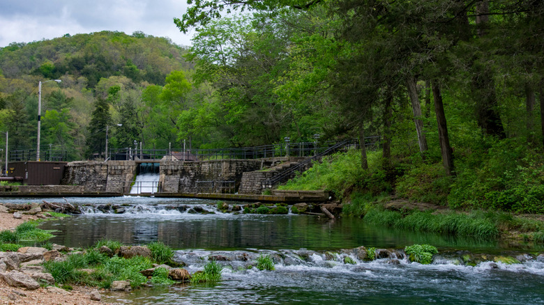 dam views surrounded by forested greenery at Roaring River State Park, Missouri