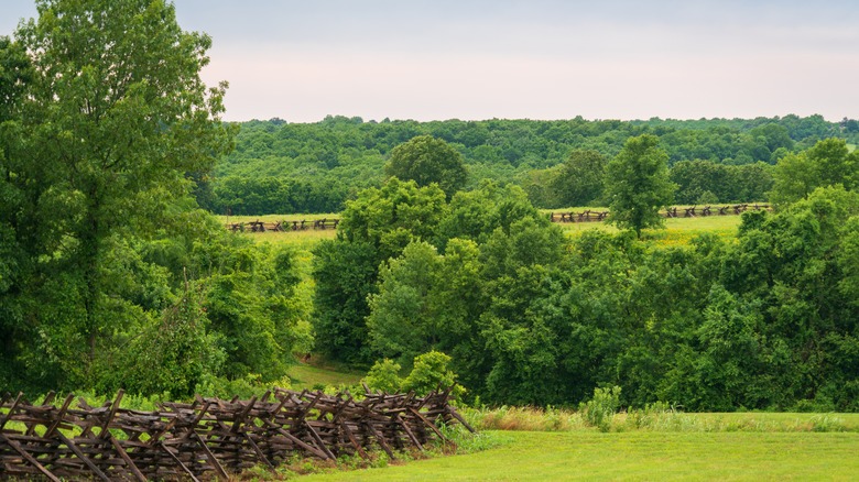 forested views in Wilsons Creek National Battlefield, Missouri