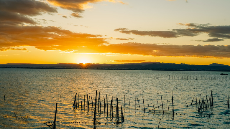 Beautiful sunset in the Albufera Natural Park, Valencia, Spain