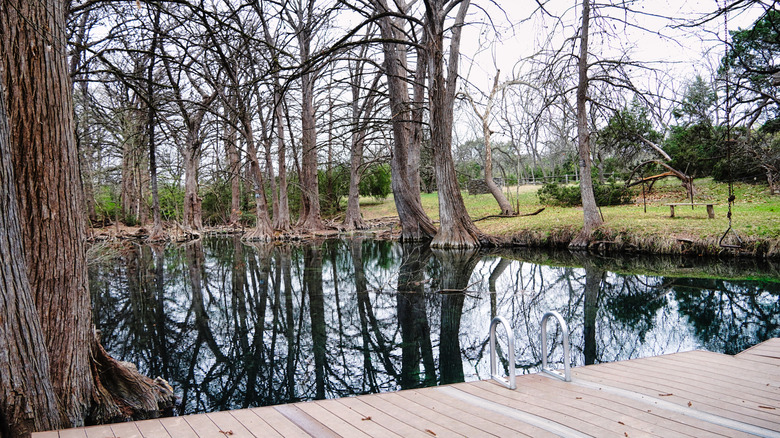 The dock at Blue Hole Regional Park in Wimberley, Texas