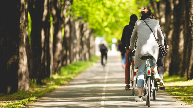 Leafy bike lane in Paris