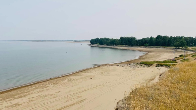 A beach on Lake Diefenbaker