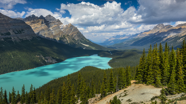 White cumulus clouds over Bow Valley in Banff National Park in Canada. Peyto Lake with its beautiful turquoise colored water in the foreground. America North, Canada, Alberta, Banff National Park.