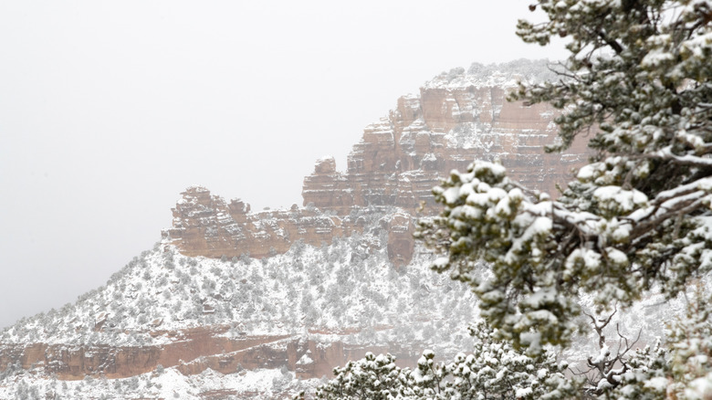 A snowstorm obscures the view into the gorge at Grand Canyon National Park, Arizona