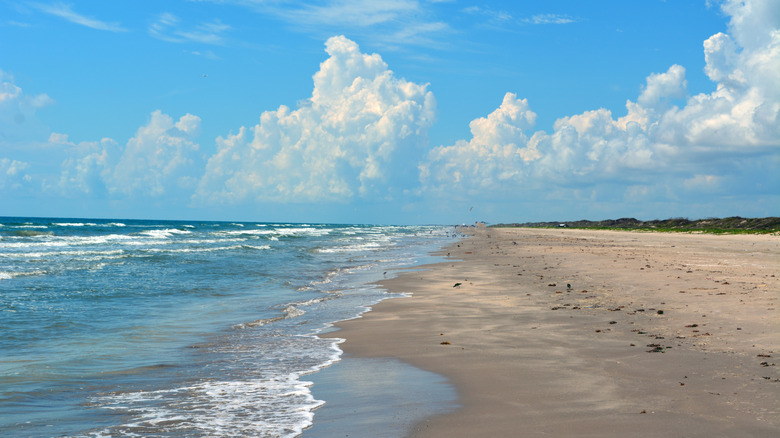A Padre Island, Texas, beach on a sunny day with large clouds in the distance