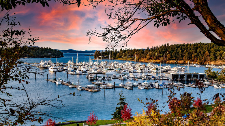 Boats moored at Roche Harbor on the northwest side of San Juan Island, Washington