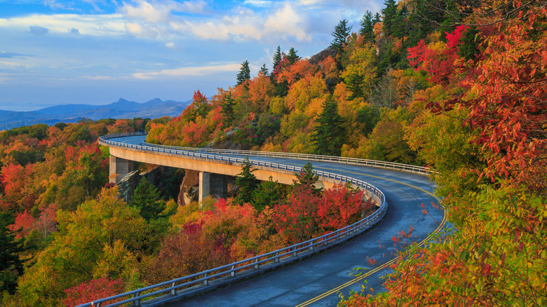 Linn Cove Viaduct on the Blue Ridge parkway in the fall.