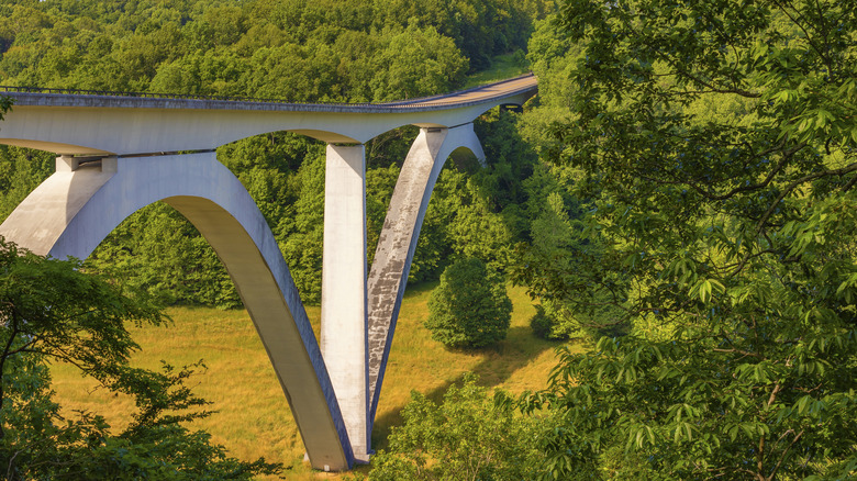 The double-arch Natchez Trace Parkway Bridge is a  structure at the near begining of the Historical Route in Tennessee.