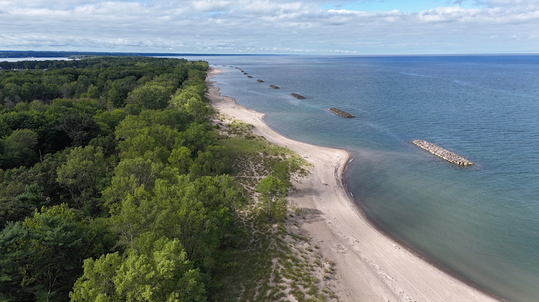 Green trees in the left of the frame, blue ocean in the right, and a strip of white sand between them, under a cloudy blue sky