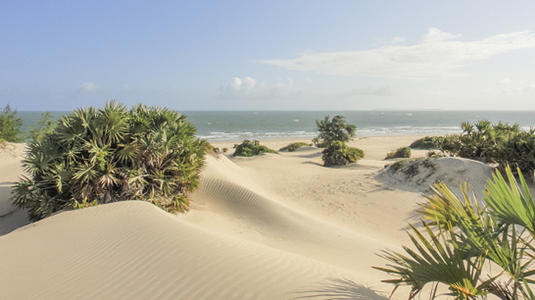 Shela Beach on Lamu Island
