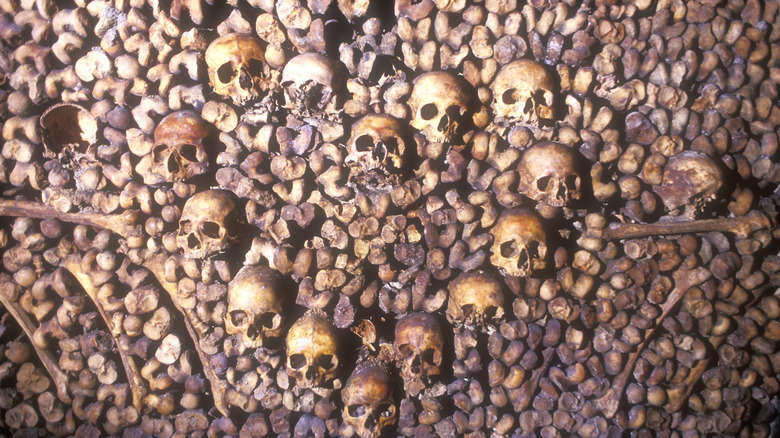 The Paris Catacombs