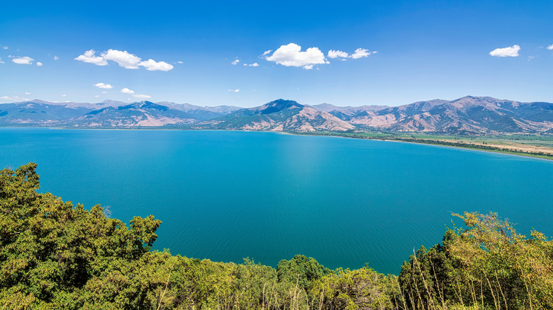 An elevated, panoramic view of Lake Prespa, located at the boundaries of North Macedonia, Albania, and Greece