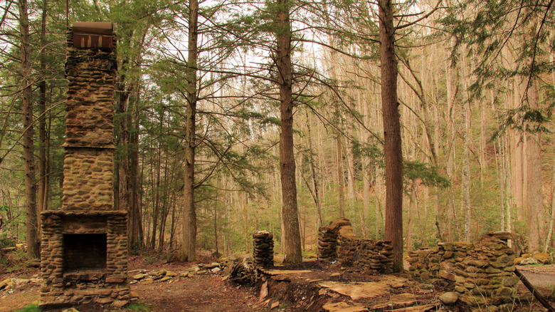 A chimney is the only remains of one of Elkmont's homes