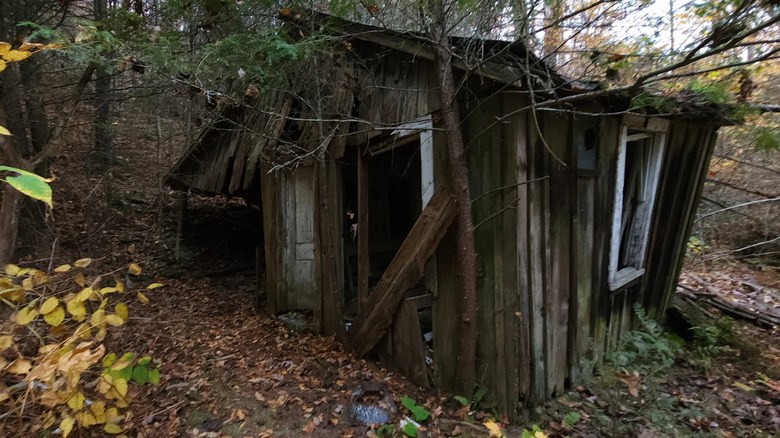 One of Lost Cove's abandoned homes