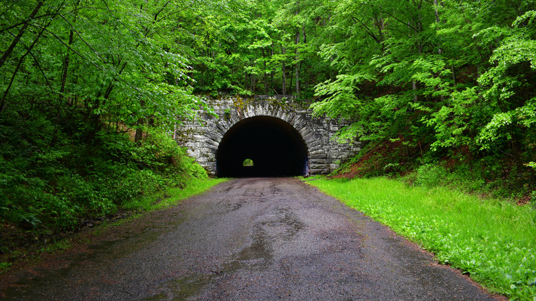 Proctor's eerie Road to Nowhere