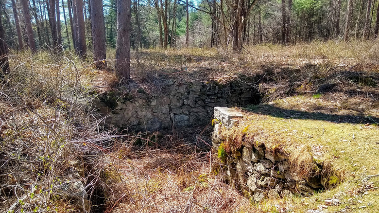 Building foundation ruins in the abandoned town of Dana, Massachusetts