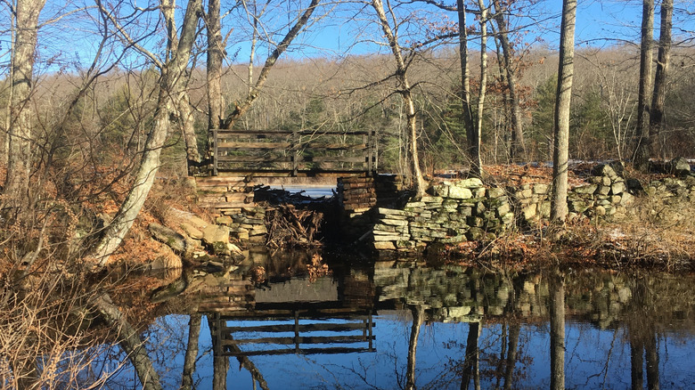Wooden bridge over a pond at Gay City State Park, Connecticut