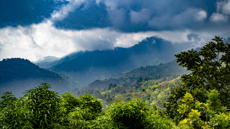 Blue MOuntains in Jamaica