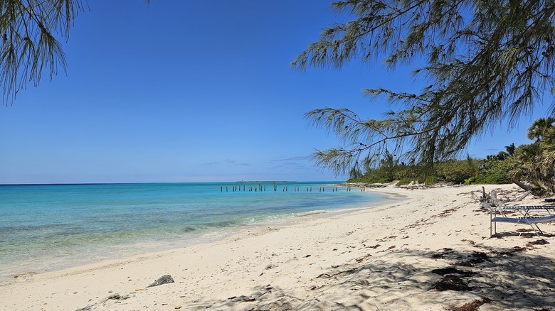 image of a small white sand beach with loungers sitting to the right of the image in the shade of trees; there is a line of wood posts leading from the shore to the water