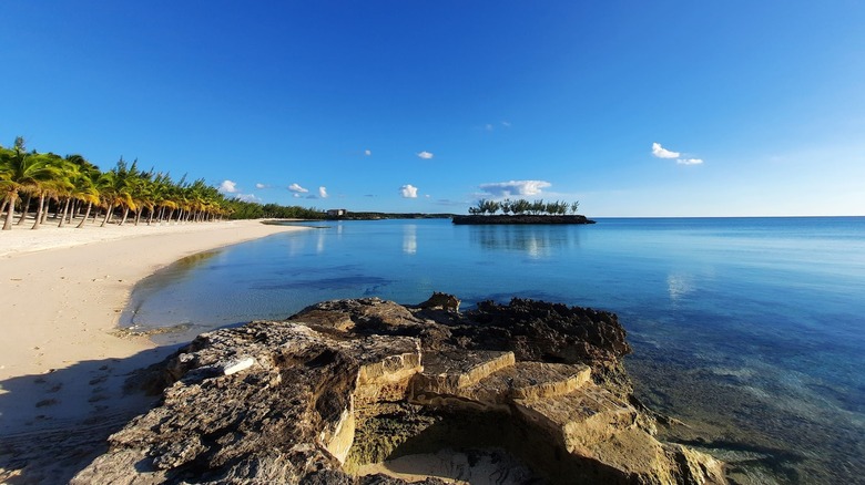 image is of a beach; a short tidal rock sits in the foreground of the image; to the left is a stand of evenly spaced palm trees sitting in soft white sands; in the background is a small stony island dotted with trees; the water is shallow and clear