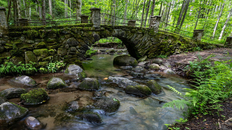 The historic Elkmont "Troll Bridge," a moss-covered stone arch bridge crossing Bearwallow Branch in the Great Smoky Mountains National Park, Tennessee