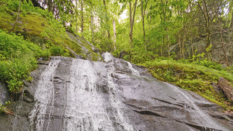 Fern Branch Falls in the Great Smoky Mountains in the Spring