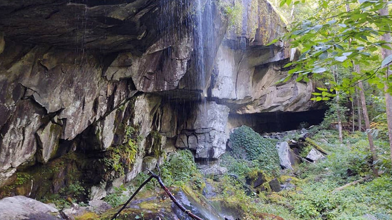 Quilliam Cave seen from the Courthouse Rock Trail, Great Smoky Mountains National Park