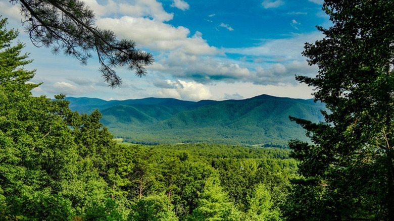 View of Cades Cove from Rich Mountain Road in Great Smoky Mountains National Park
