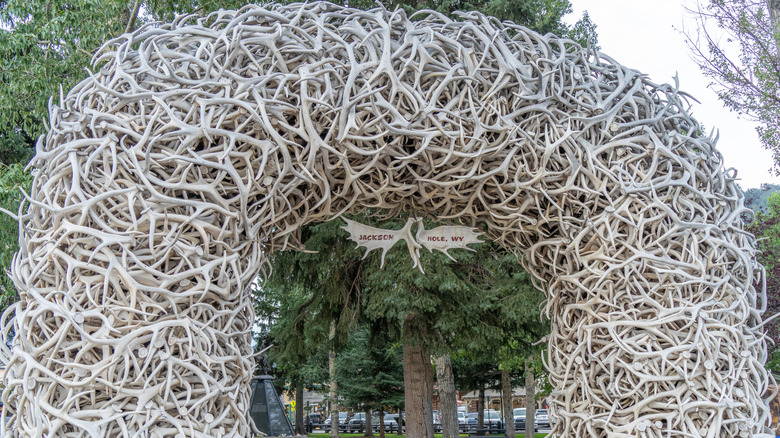 One of the antler structures framing Jackson Town Square