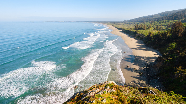 Morning along the coastline of Redwood National and State Parks
