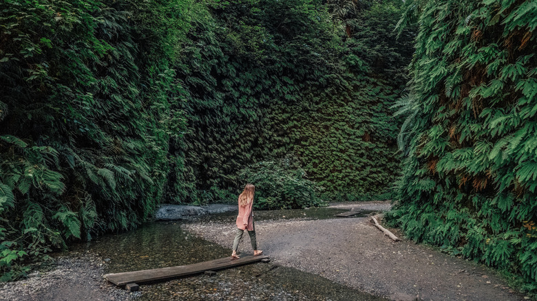 Blonde girl walking through Fern Canyon gorge in Prairie Creek Redwoods State Park, California