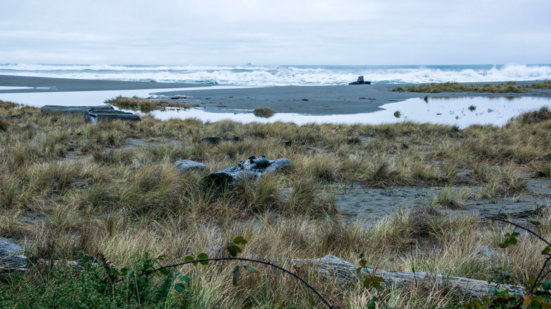 Surf on the coast of Redwood National and State Parks, Northern California