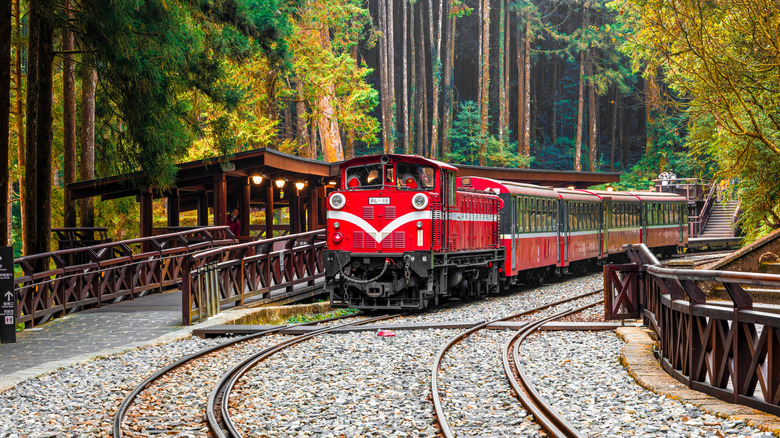 Train in Alishan Taiwan