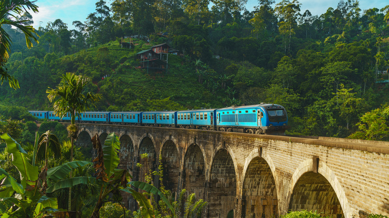 Train going over the Nine Arch Bridge in Sri Lanka