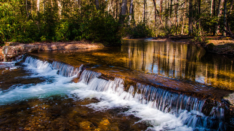 A small cascade along a stream in Caledonia State Park