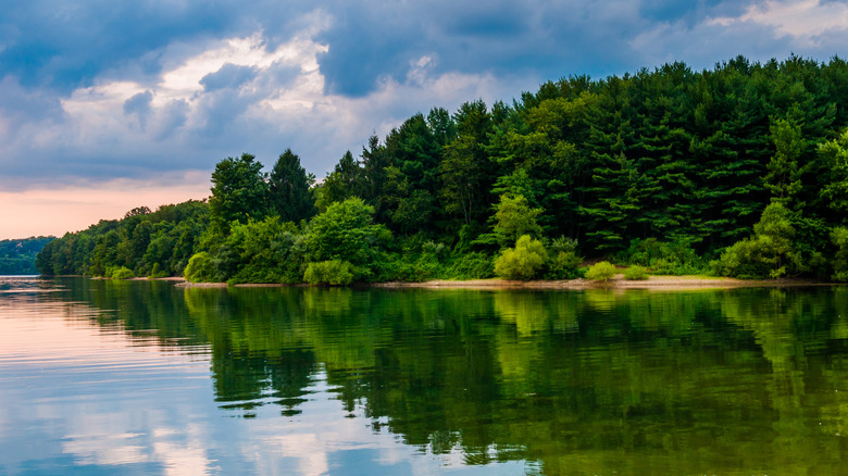 The vibrant green forests of Codorus State Park reflected in the blue water of Lake Marburg