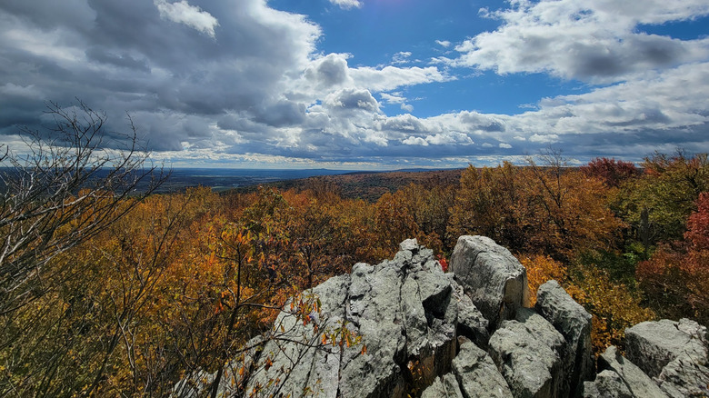 A mountaintop overlook across the autumn canopy at Cunningham Falls State Park