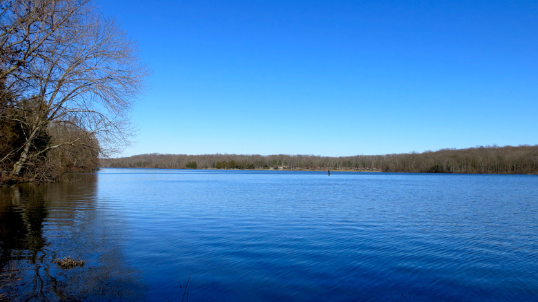 The brilliant blue waters of Pinchot Lake at Gifford Pinchot State Park