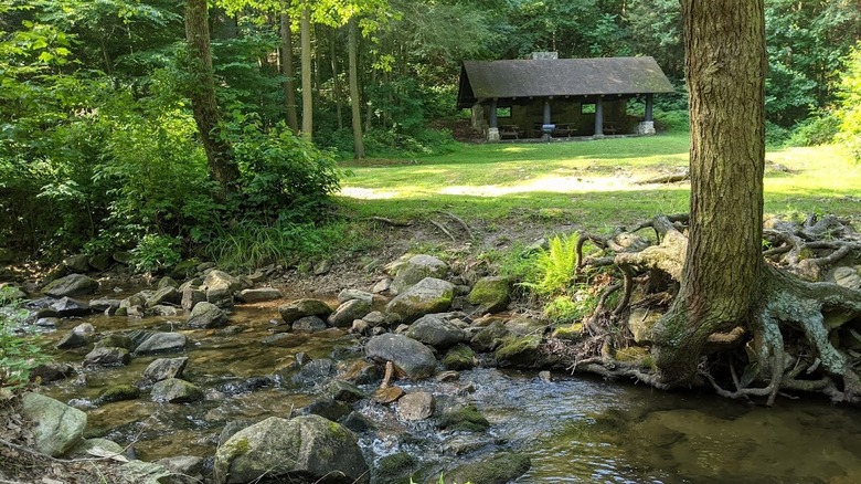 A small stream cascades over rocks in Mont Alto State Park, with a historic shelter in the background
