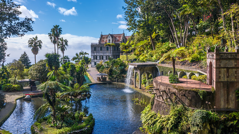 View of the botanical garden in Funchal, Madeira (Portugal)