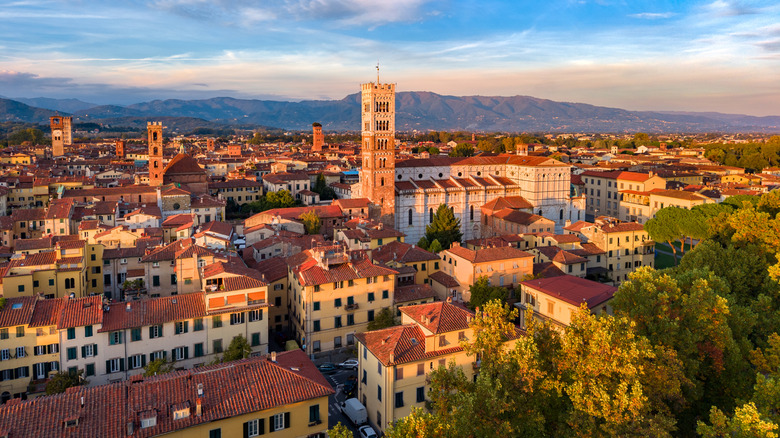 Aerial view of Lucca, Medieval Tuscan city from drone at sunset