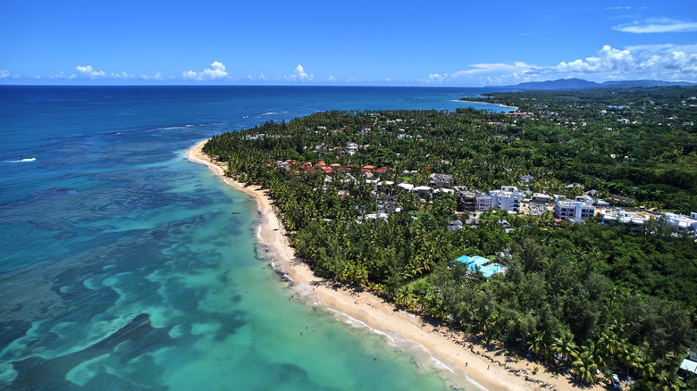 Aerial view of beaches and jungles in Las Terrenas