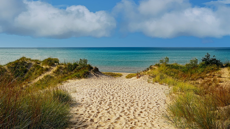 Sunny beach in Indiana Dunes