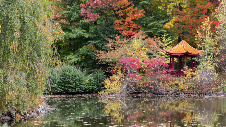 A pagoda rises from the lush flora next to a serene lake