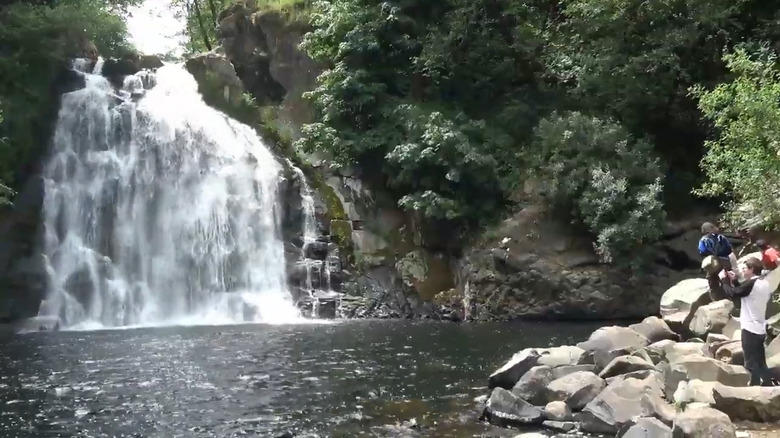 Youngs River Falls near Astoria, Oregon