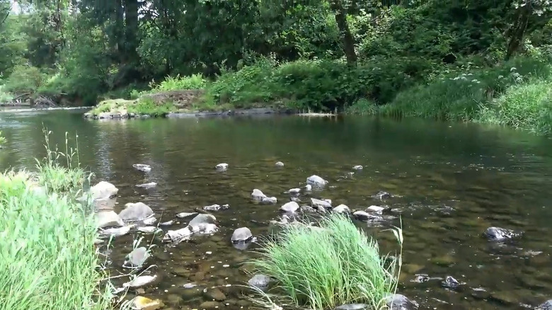 Swimming area by Youngs River Falls near Astoria, Oregon