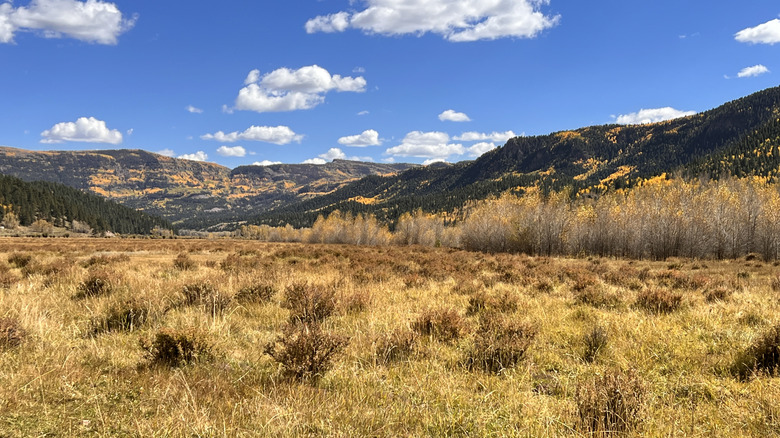 The Conejos Valley near the Rio Grande