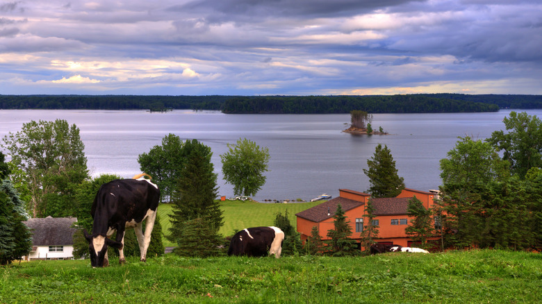 Farm near Great Sacandaga Lake