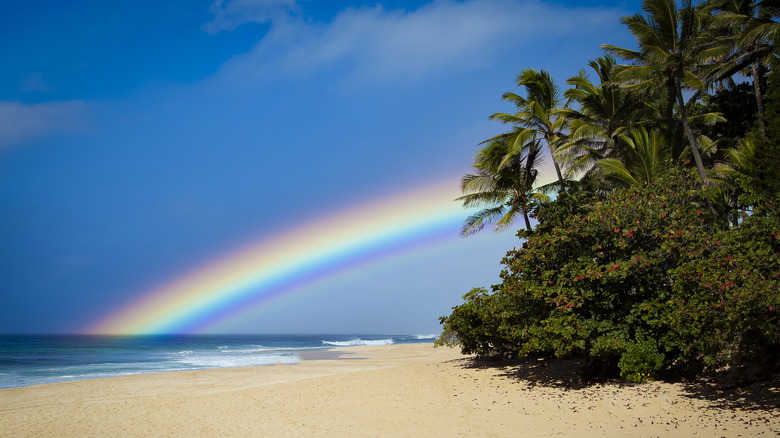 rainbow at sandy beach in Oahu