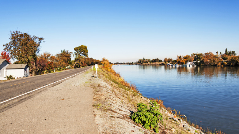 Section of road along the Sacramento River